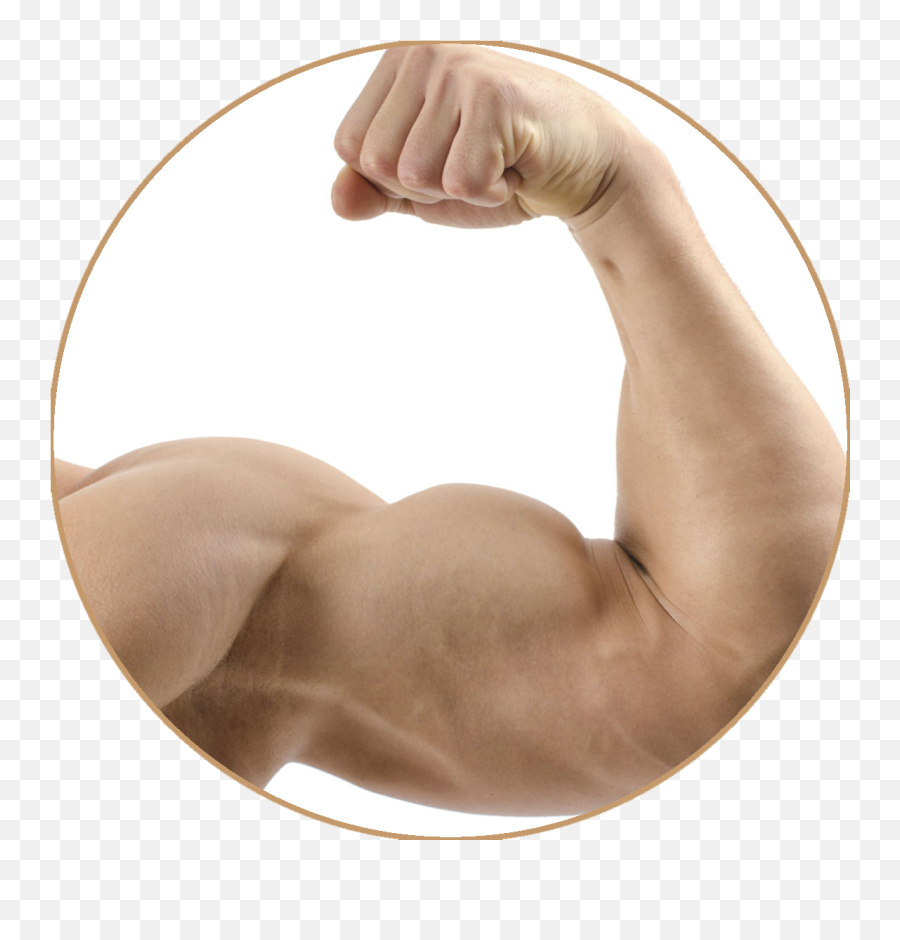 Download Emoji Muscle Png Image With No - Meaning Of Triceps,Muscle Emoji Png