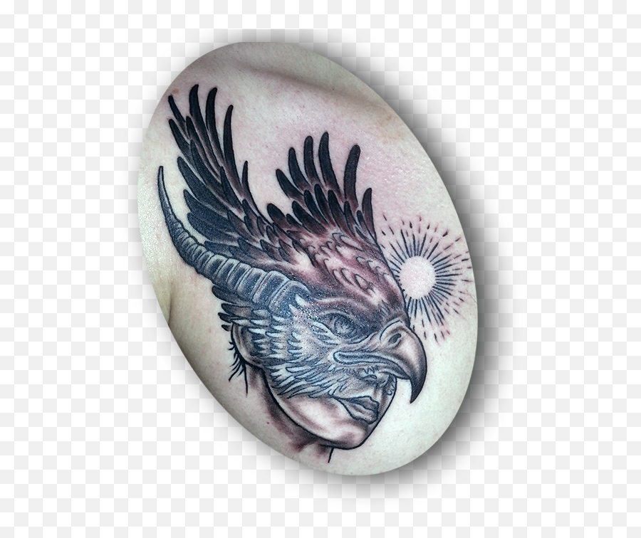Eagle Feather - Bald Eagle Emoji,Eagle Feather Png