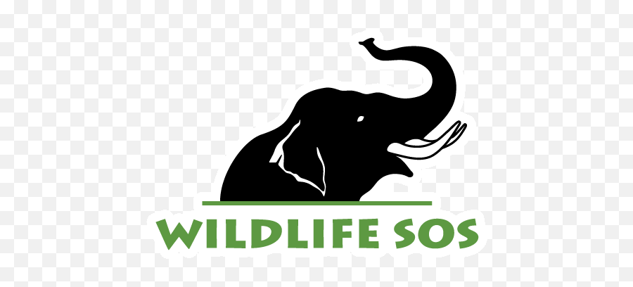 Wildlife Sos Take Action - Wildlife Sos Saving Indias Elephants Emoji,Elephant Logo