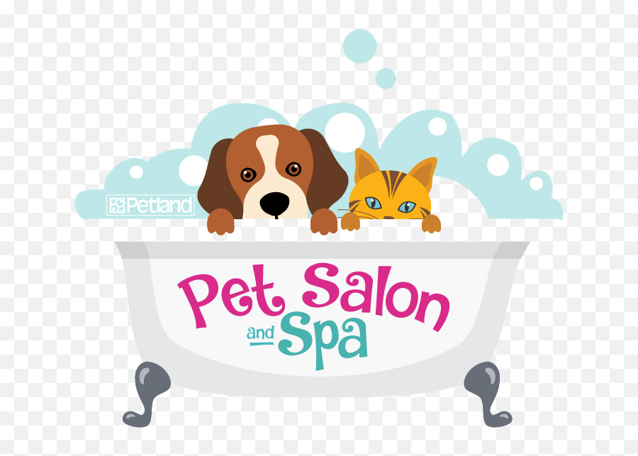 It Is Recommended That You Start Your Pet On A Grooming Emoji,Dog Grooming Clipart