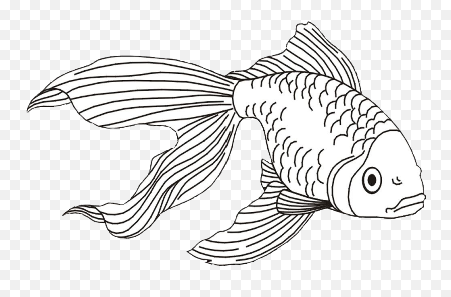 Download Goldfish Clipart Beta Fish - Realistic Water Animals Drawing Emoji,Goldfish Clipart