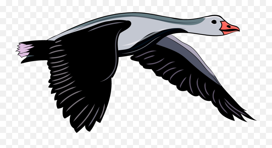 Goose In Flight Clipart Free Download Transparent Png - Duck Emoji,Goose Clipart