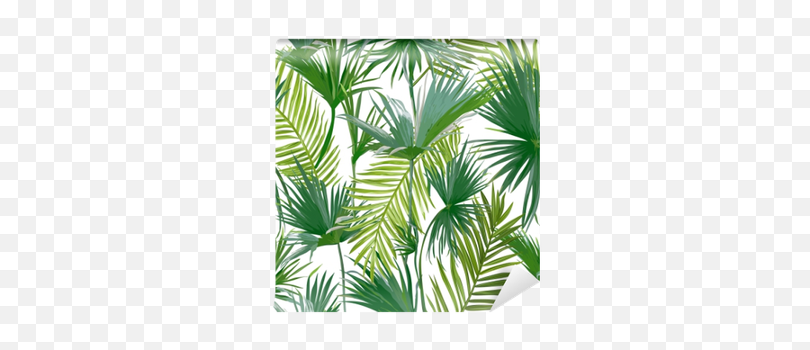 Tropical Palm Leaves Wall Mural U2022 Pixers - We Live To Change Jungle Leaves Background Emoji,Palm Leaves Png