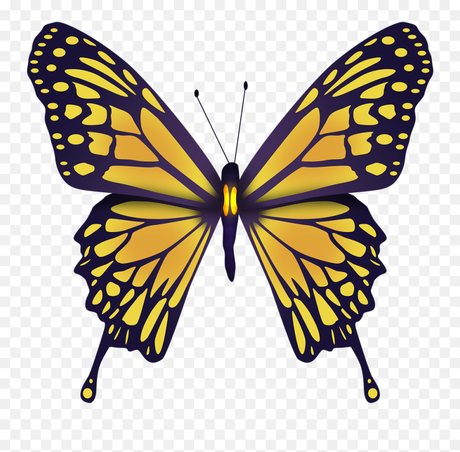 Yellow Butterfly Nature - Free Image On Pixabay Emoji,Yellow Butterfly Png