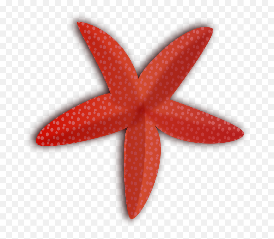 Hd Starfish Image In Our System Png Emoji,Starfish Transparent Background