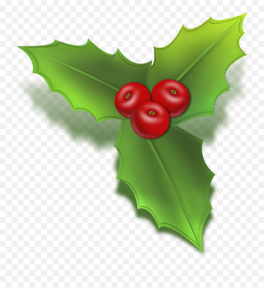 Mistletoe - Location Managers Guild International Christmas Holly Icons Emoji,Mistletoe Png