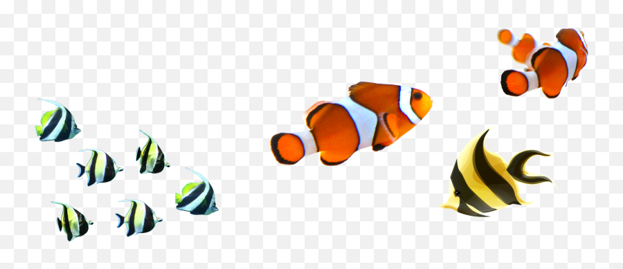 Download Clipart Clown Fish - Fish Full Size Png Image Emoji,Clownfish Png