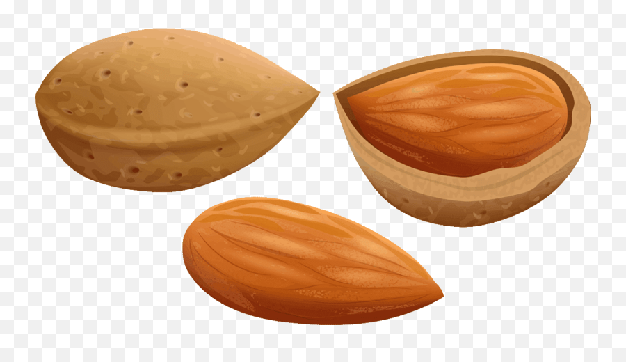Almond Clipart File - Transparent Almond Cartoon Png Emoji,Nut Clipart