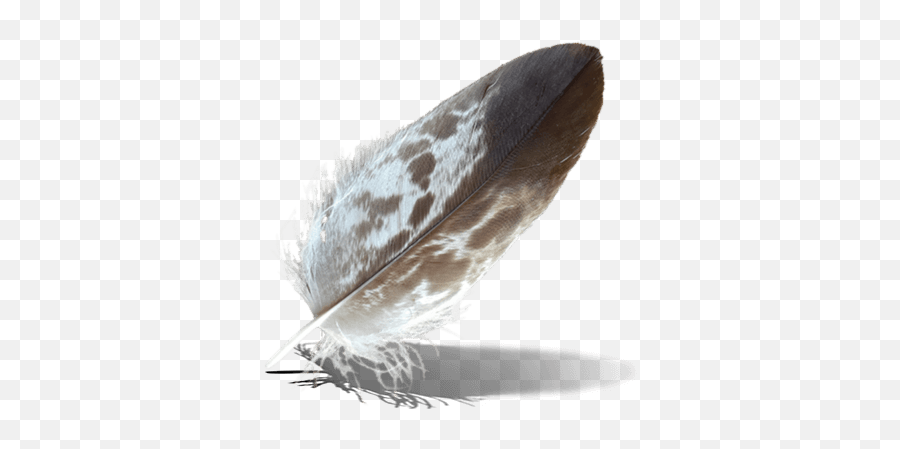 Native American Connections - Health Housing And Community Emoji,Indian Feather Png
