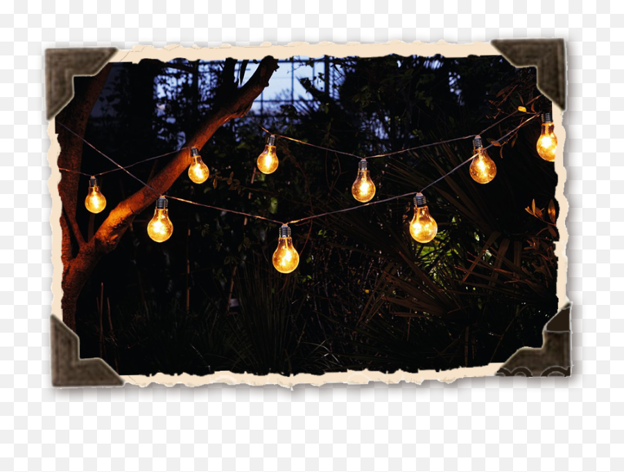 Perfect Intimate Upstate Location For Events U2014 For People - Tree Emoji,Lights Png
