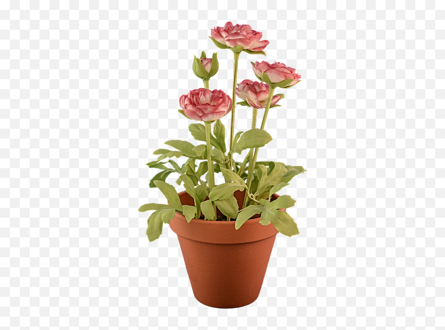 Potted Plants Clipart Transparent - Clip Art Flower Pot Png Transparent Emoji,Flower Pot Clipart