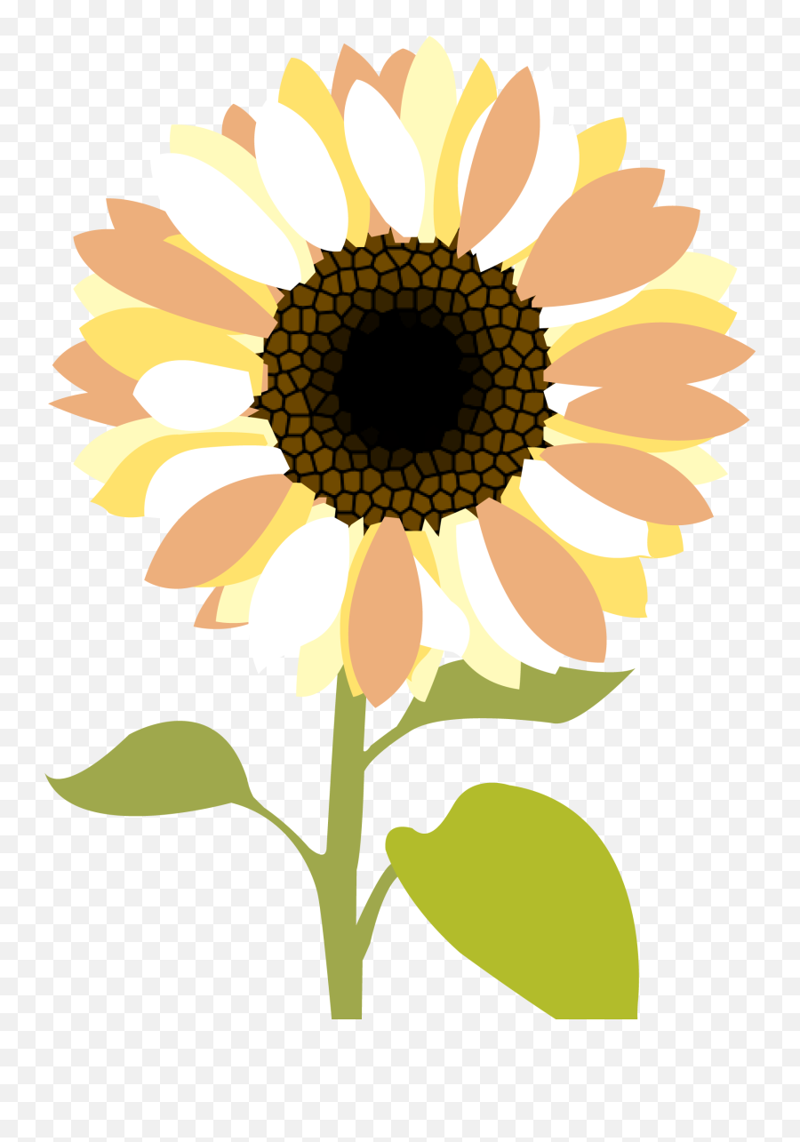 Sunflower Christian Clip Art - Png Image Sunflower Png Transparent Emoji,Sunflower Clipart