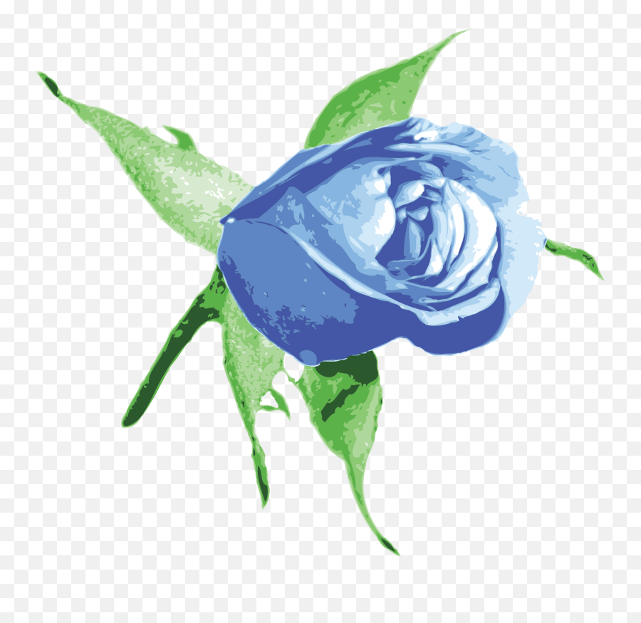 Drawing Of The Beautiful Blue Rose Clipart - Transparent Background Blue Rose Clipart Emoji,Rose Clipart