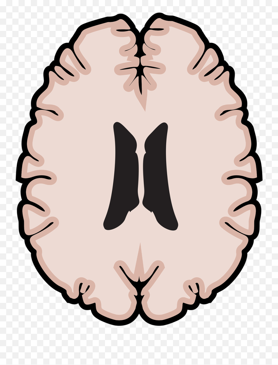 Graphic Brain Horizontal Emoji,Mri Clipart