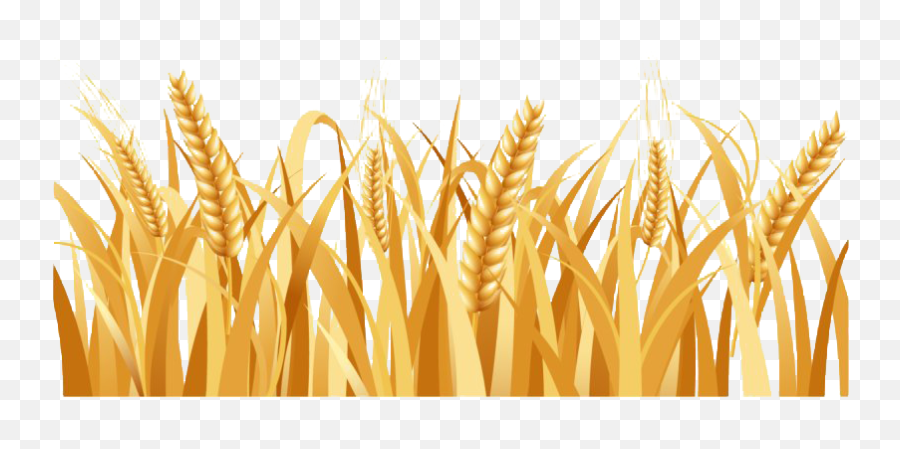 Wheat Field Png Image Png All - Wheat Png Transparent Background Emoji,Wheat Clipart