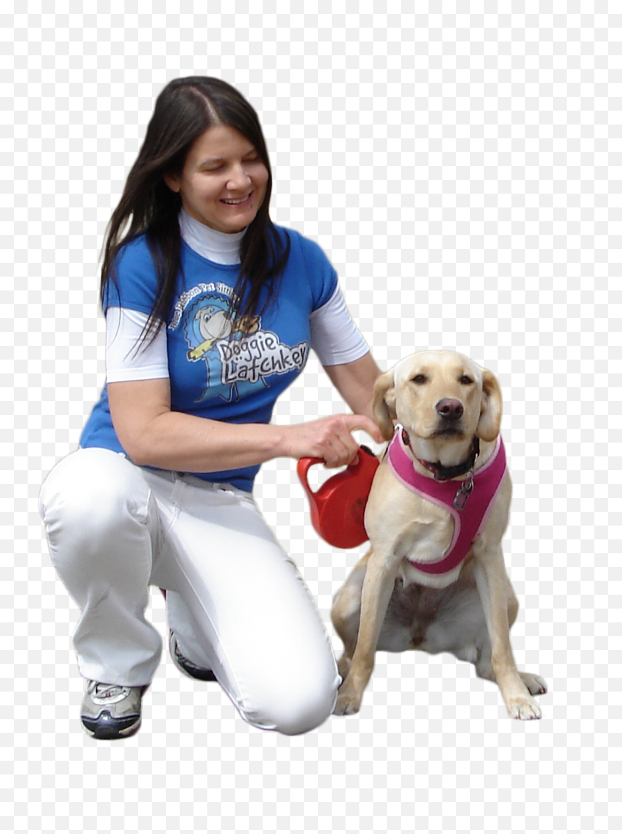 Person Walking Dog Png - Labrador Retriever Transparent Martingale Emoji,Person Walking Png