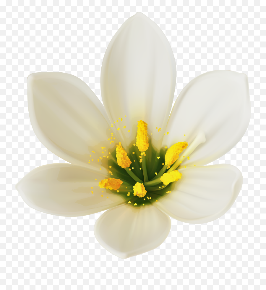 White Flower Clipart Png Picture 3244989 White Flower - White Flower Png Transparent Emoji,Flower Clipart Black And White