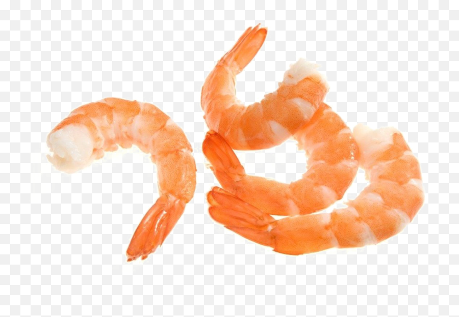 Shrimp Png Image - Transparent Background Shrimp Png Emoji,Shrimp Png