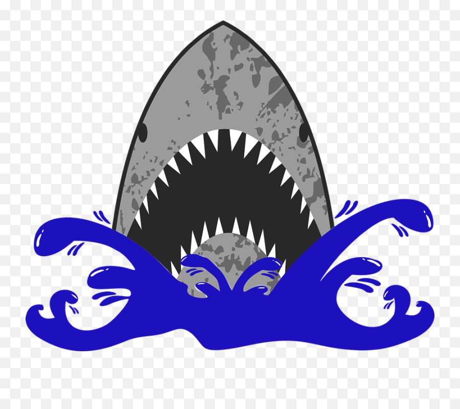 Over 80 Free Shark Vectors - Pixabay Pixabay Hàm Cá Mp Vector Emoji,Shark Fin Clipart