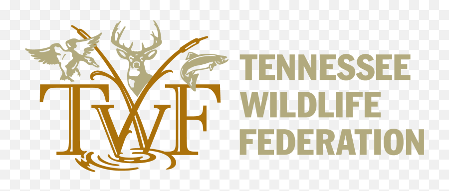 Environmental Conservation U2014 Study Tennessee Emoji,The Nature Conservancy Logo