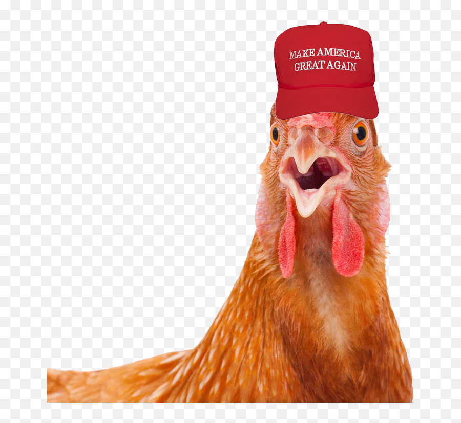 Maga Hat - Birds Make America Great Again Emoji,Maga Hat Png