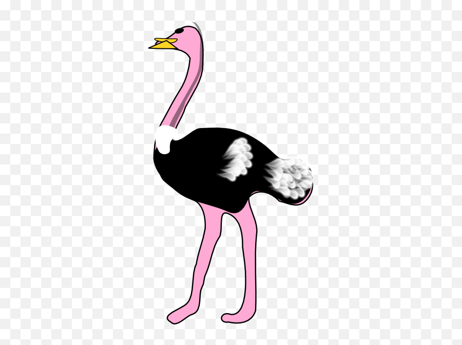 Ostrich Clip Art At Clker - Ostrich Clipart Emoji,Ostrich Clipart