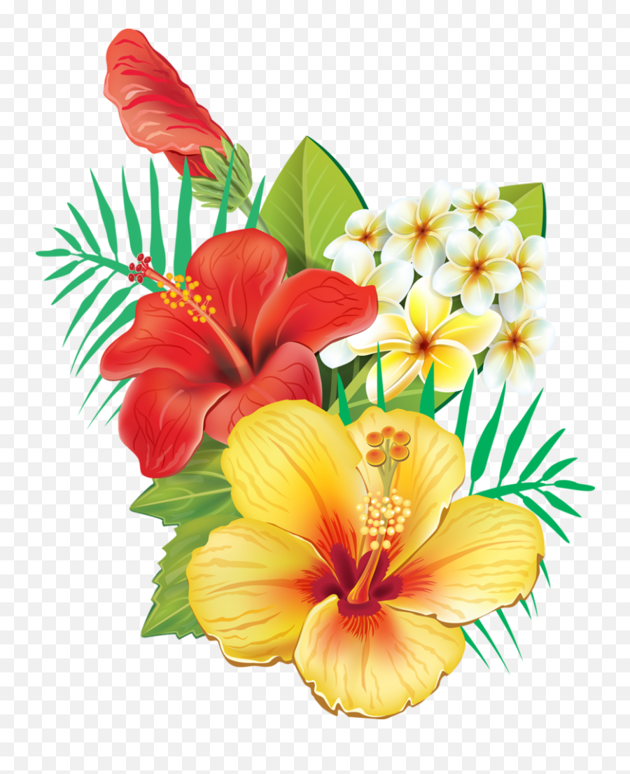 Tropical - Transparent Hawaiian Flower Png Emoji,Hibiscus Flower Clipart