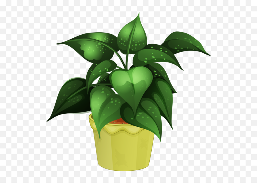 Leaf Plant Leaf Houseplant Clipart - Leaf Clipart Activities Emoji,Indoor Plant Png