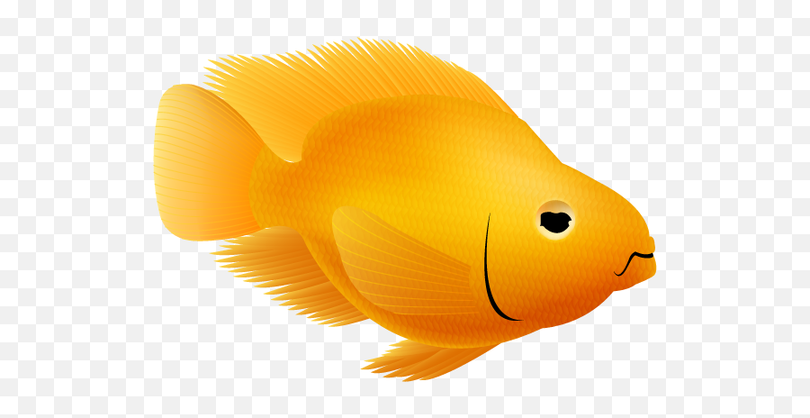 Parrotfish - Ranchu Emoji,Goldfish Clipart