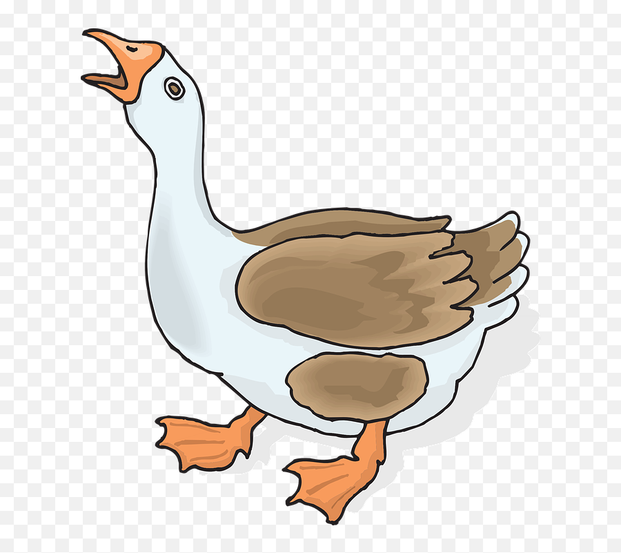 Over 100 Free Goose Vectors - Pixabay Pixabay Angry Goose Clipart Emoji,Goose Clipart