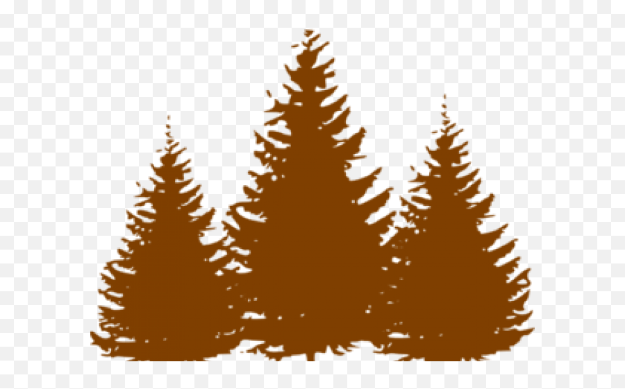 Download Pine Tree Clipart Oregon Tree - Winter Trees Pine Tree Vector Png Emoji,Winter Tree Clipart