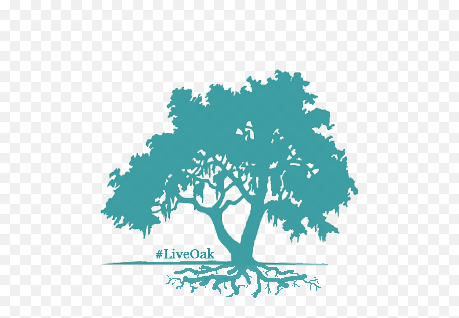 Download Active Full Lifecycle Investing - Live Oak Tree House Oak Tree Clipart Emoji,Oak Tree Silhouette Png