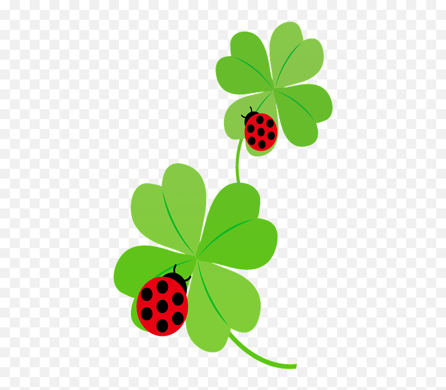 Ladybugs On Clover Leaves Clipart Free Download Transparent - Clover Leaf Clip Art Emoji,4 Leaf Clover Clipart