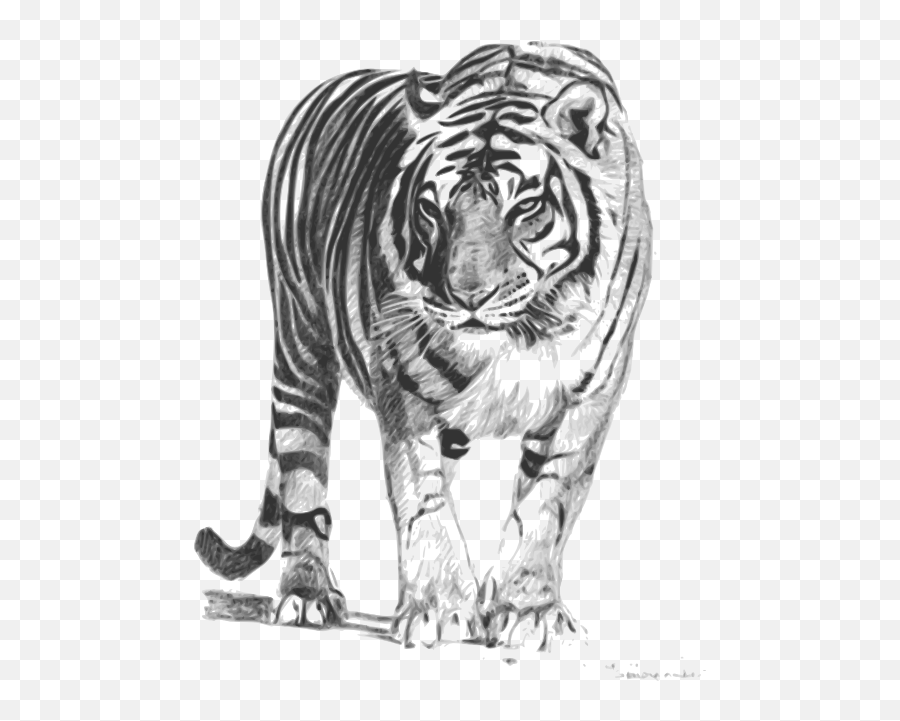 Bengal Tiger Clipart I2clipart - Royalty Free Public Emoji,Free Tiger Clipart
