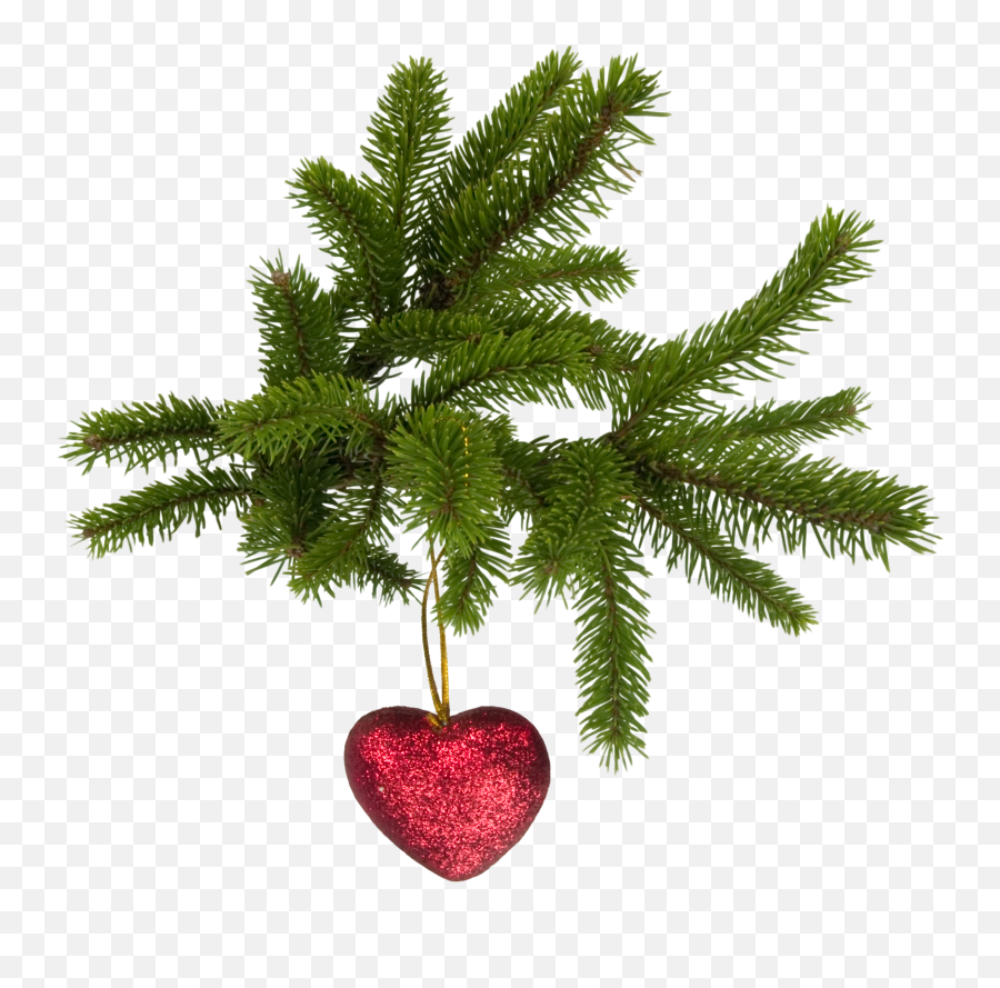 Christmas Png Image - Transparent Tree Christmas Png Emoji,Christmas Png