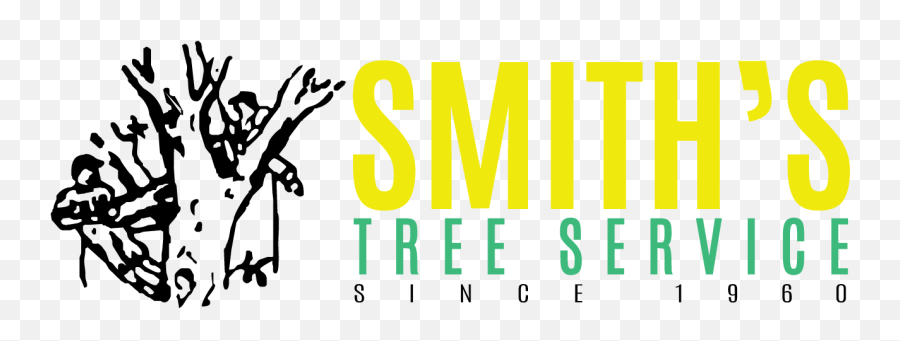 Best Marietta Ga Tree Service U0026 Tree Removal Company Smithu0027s Emoji,Tree Service Logo