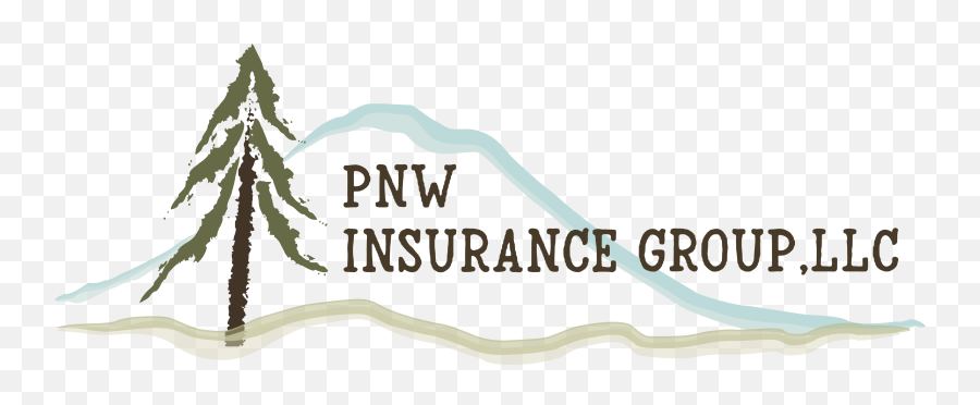 Insurance Agency In Puyallup Wa Pnw Insurance Group - Language Emoji,Website Logo