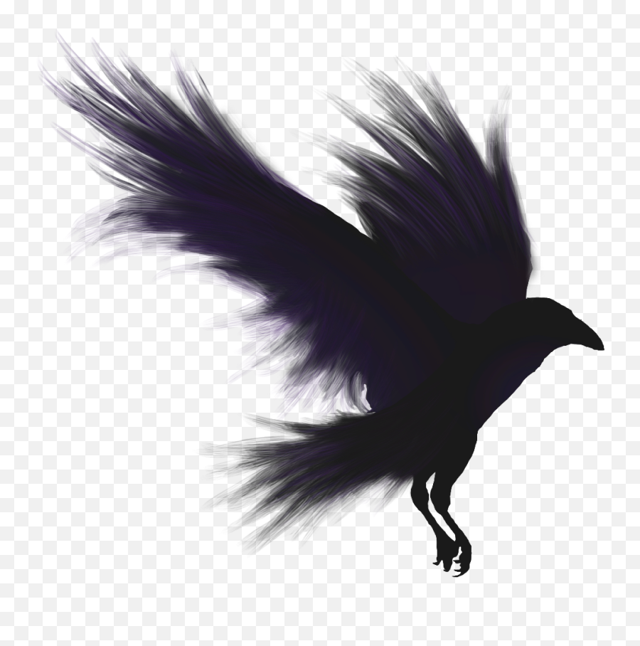 Raven Png - Raven Png Emoji,Raven Png