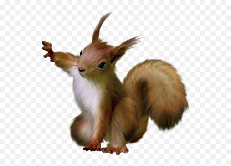 Squirrel Png - Squirrel Gif Transparent Background Emoji,Squirrel Transparent