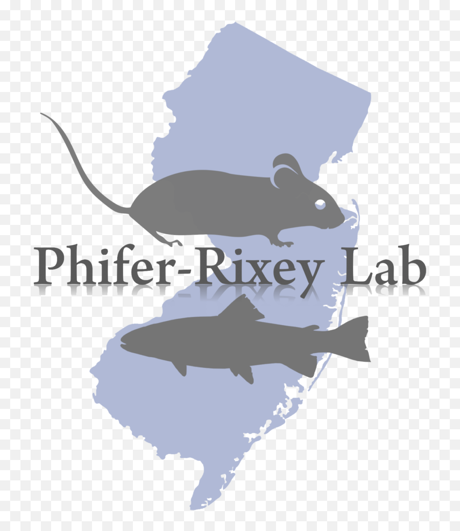 Phifer - Rixey Lab Emoji,Lab Rat Logo