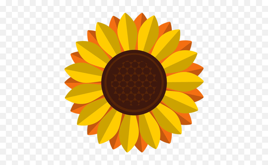 Sunflower Vector Png Picture 2237752 Sunflower Vector Png - Girassol Com Folha Png Emoji,Sunflower Png