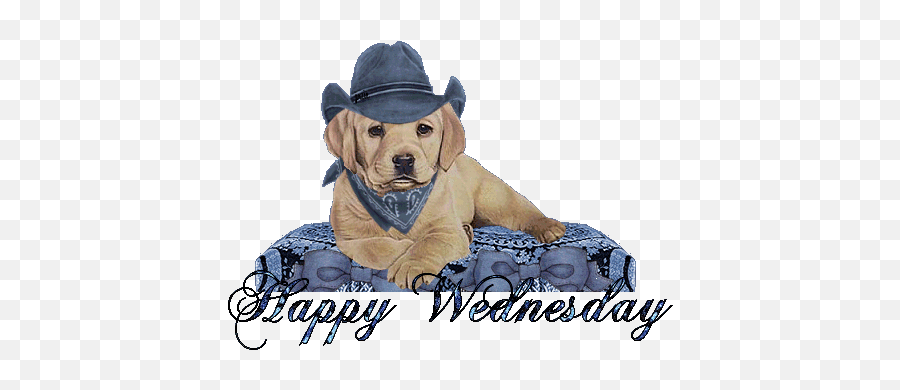 25 Most Wonderful Wednesday Images - Jeans Day Emoji,Wednesday Clipart