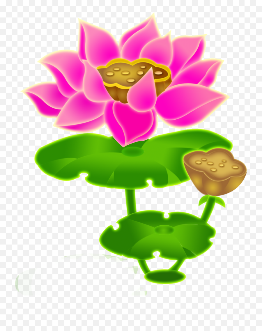 Lotus Clipart Chinese Lotus - Png Download Png Emoji,Lotus Clipart