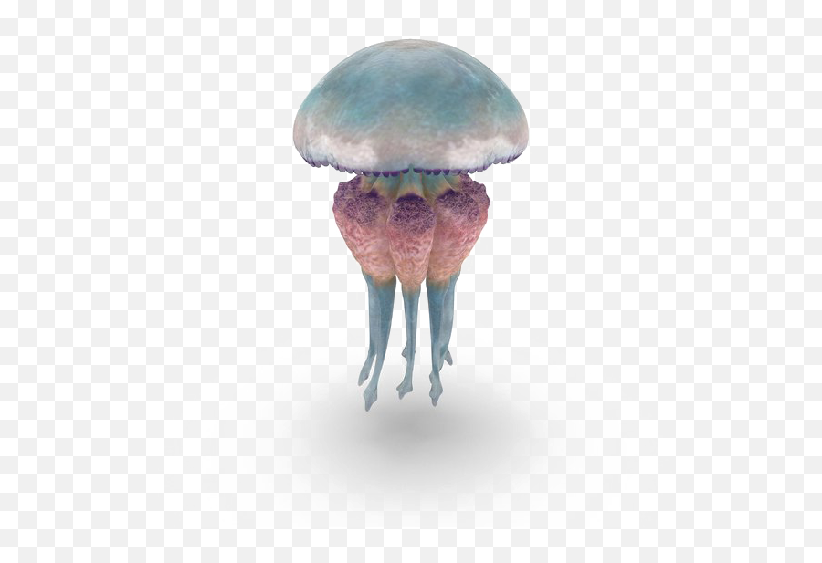 Jellyfish Free Png Image - Gif Fil Jelly Fish Transprent Emoji,Jellyfish Transparent Background