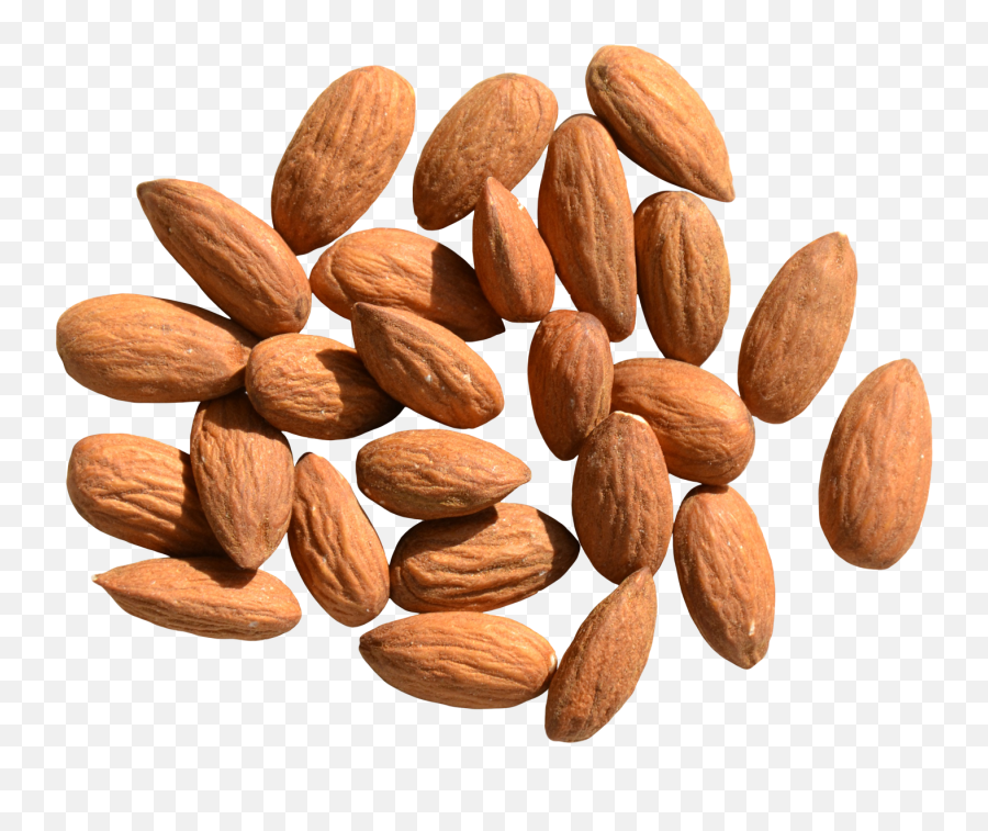 Almond Nut Png Clipart - Almond Breast Oil Emoji,Nut Clipart