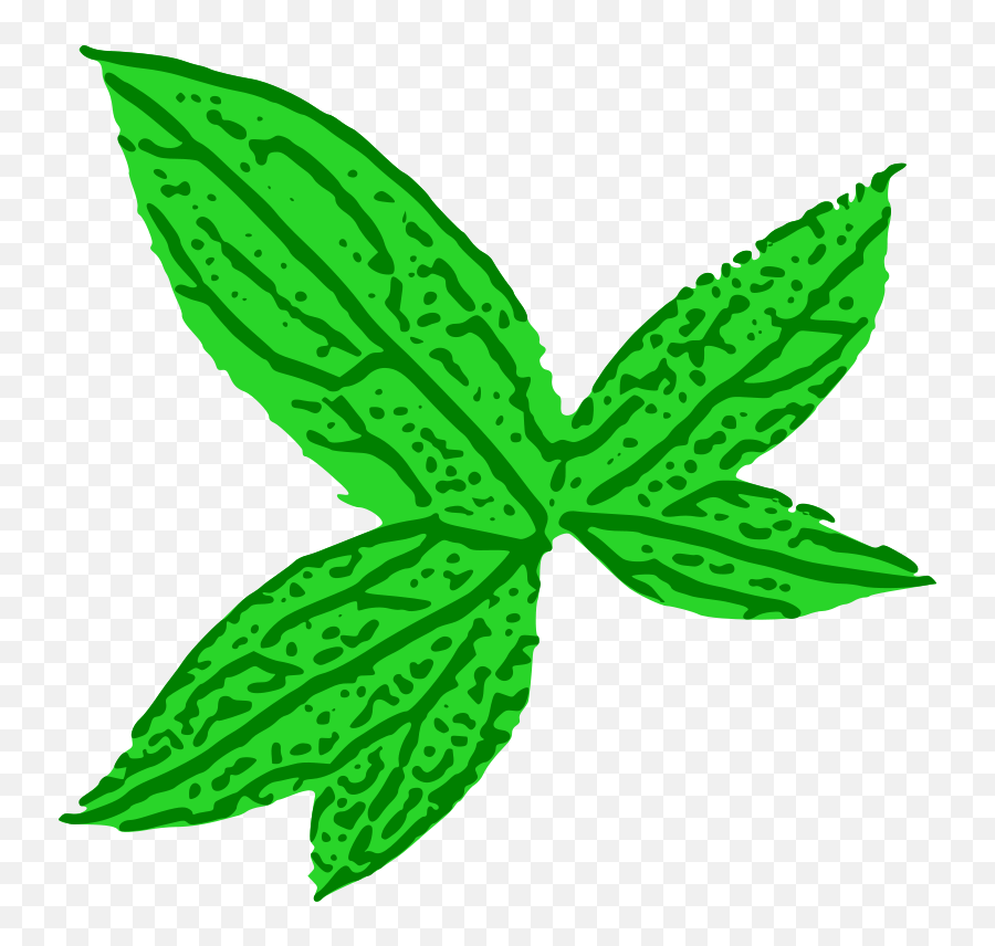 Free Clip Art Green Leaf By Thejukka - Cartoon Tobacco Plant Clipart Emoji,Leaf Transparent Background