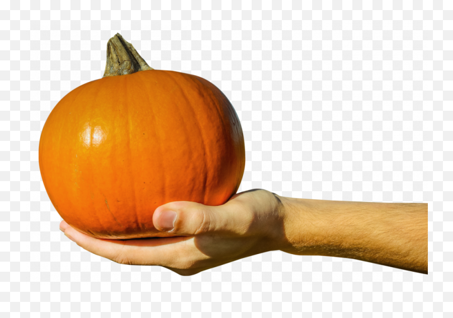 Hand Holding Orange Pumpkin - Hand Holding Orange Png Emoji,Hand Holding Png