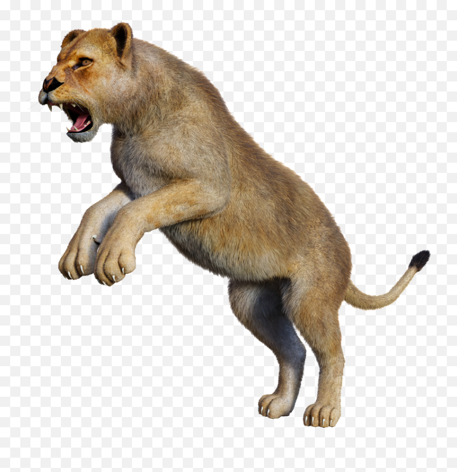 Lion Png - Lion Png Lion 4235298 Vippng Aggression Emoji,Lion Png