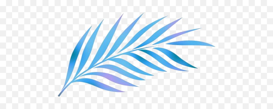 Transparent Leaf Palm Leaves Icon Pngimagespics - Jerusaleam Palm Png Emoji,Palm Leaves Png
