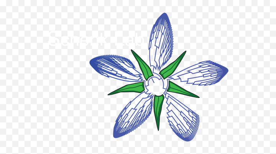 Schenk - Sketch Emoji,Georgia Southern Logo